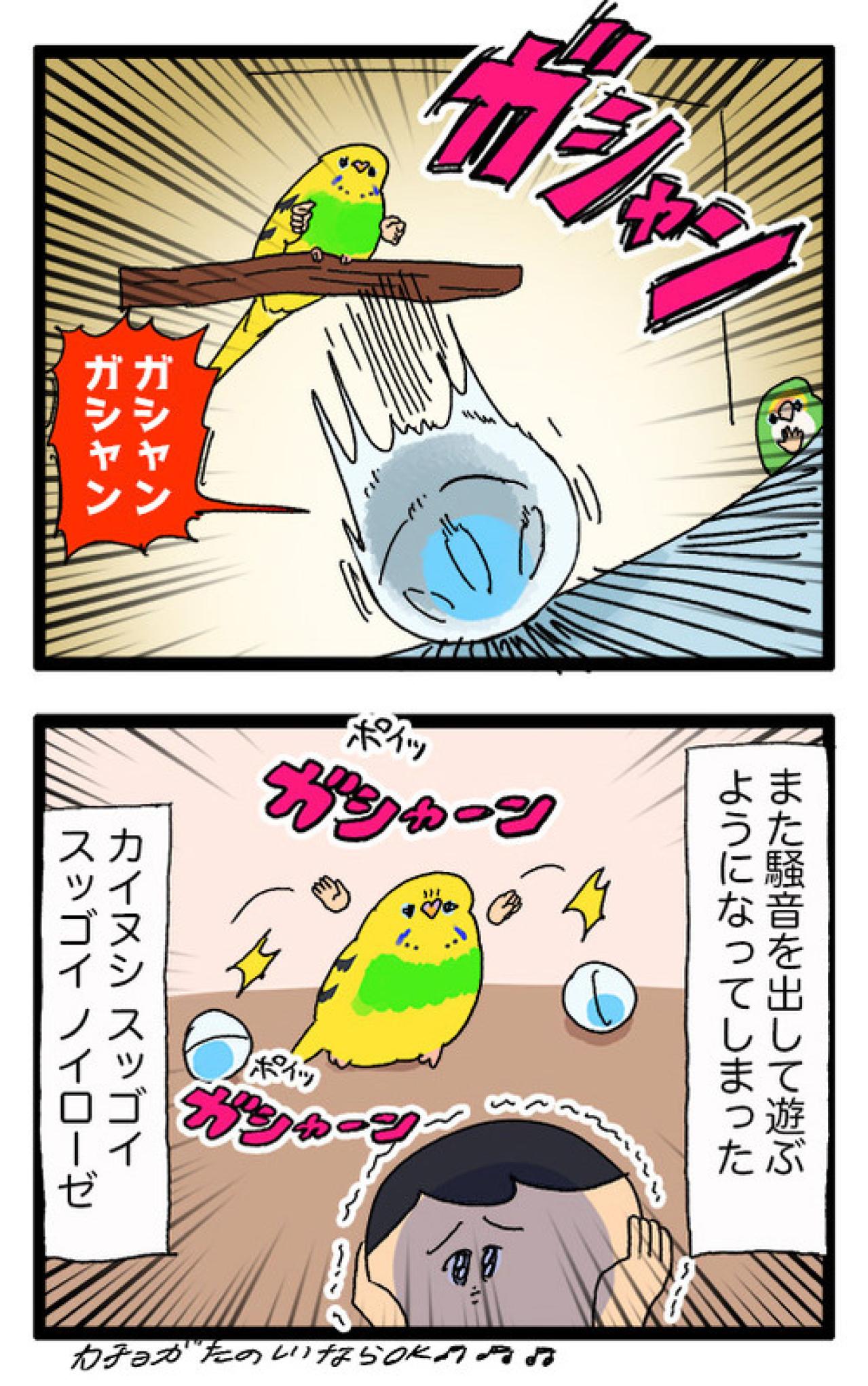 かまってもらえなくて落ち込むセキセイインコ・カチョがとった行動に胸キュン！【鳥マンガ #156】（画像5）