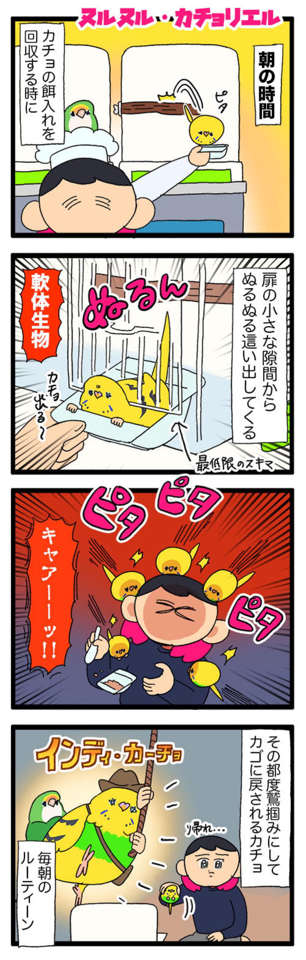 飼い主感動！換毛期のセキセイインコの葛藤がかわいすぎる【鳥マンガ #162】（画像3）