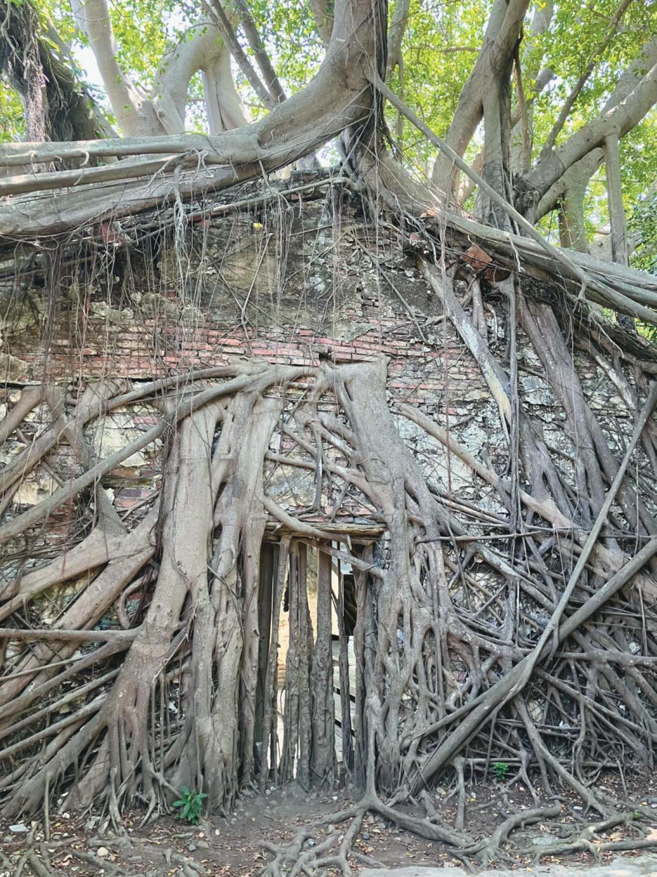  60代から始める自由な【ひとり旅】人気ブロガー・ショコラさんおすすめのスポットは？（画像6）