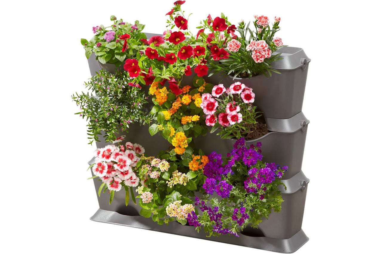 ゆうゆうtime編集部おすすめのプランターや苗も【最大23％OFF】Amazonブラックフライデーセールでガーデニングがすぐ楽しめる♪（画像3）