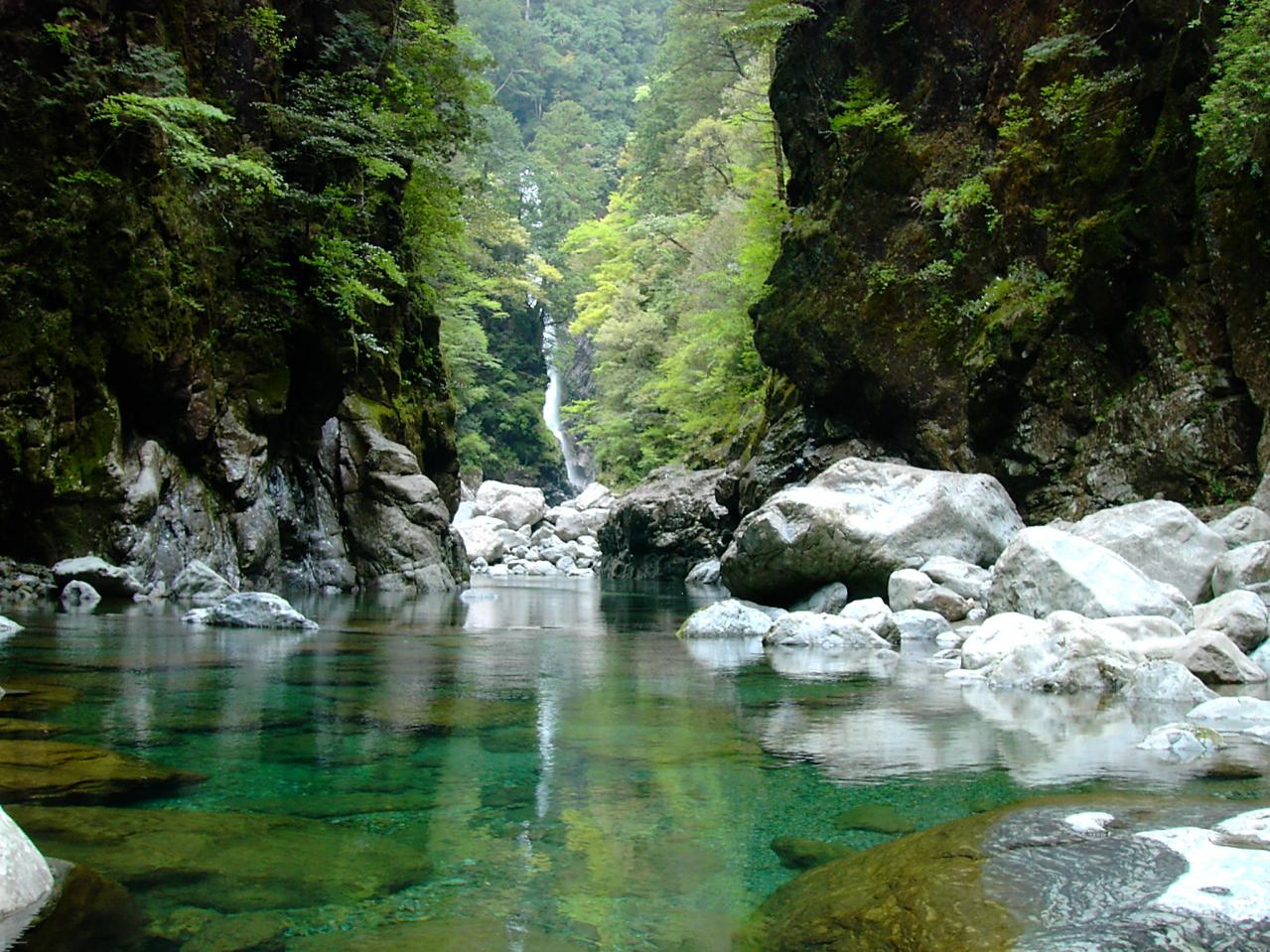 林業から生まれた森の枝リードディフューザー（クロモジ）（画像2）