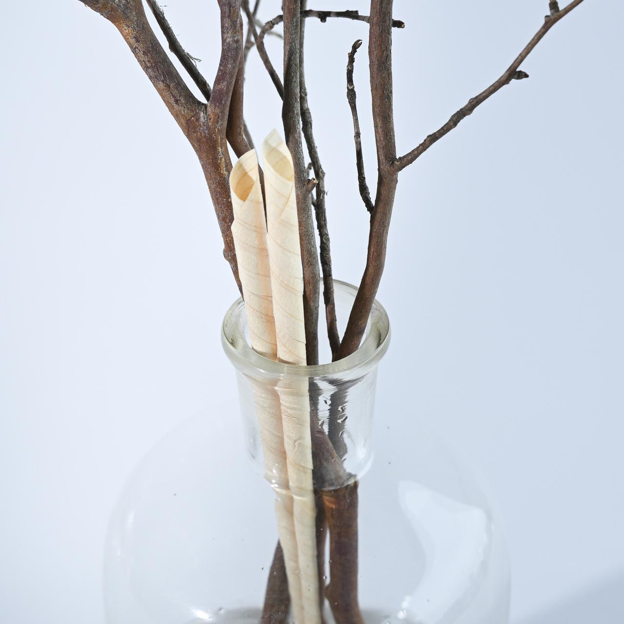 林業から生まれた森の枝　ヒメシャラリードディフューザーセット（画像5）