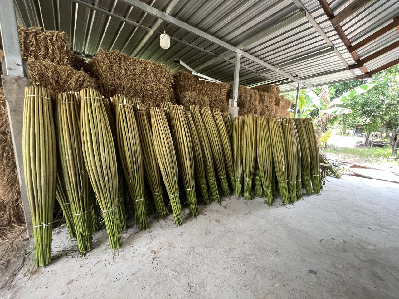 ソラの木から作られたポプリ＆フレグランスミストセット（画像5）