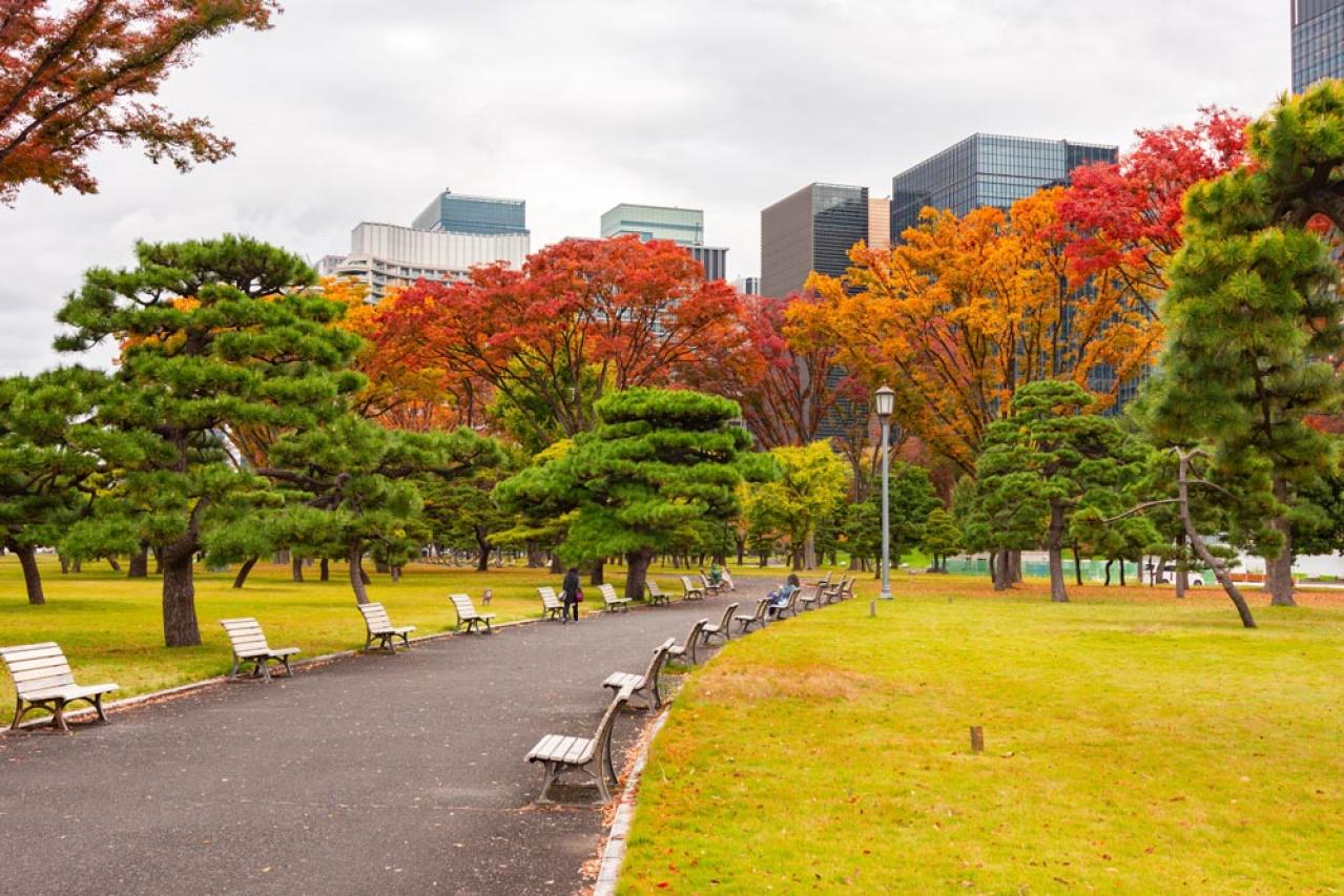 【中道あんさん流】60代で始めたひとり暮らし！買って良かった家電ベスト3と不要になった意外アイテム（画像4）
