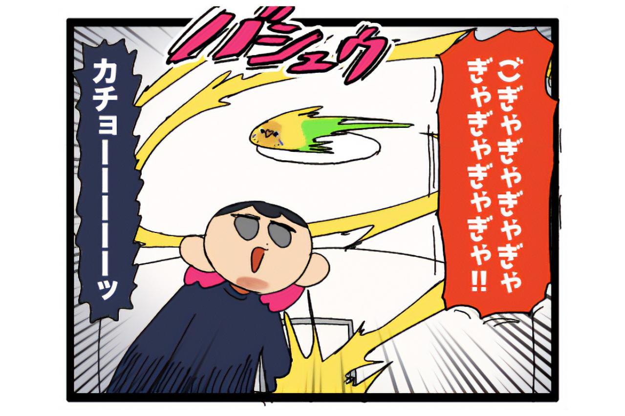 あまりにもセキセイインコすぎてビックリしてしまう！「そうか、大人になったんだね」【鳥マンガ #167】