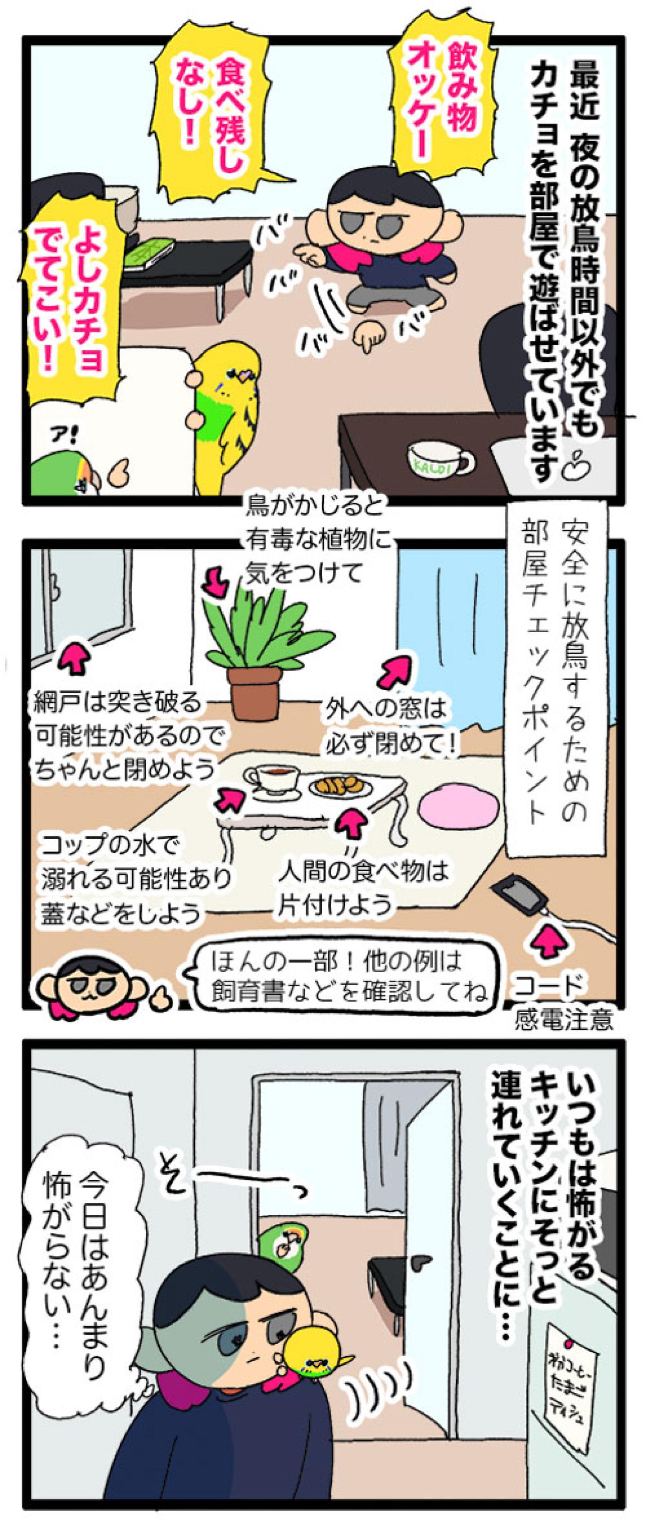 あまりにもセキセイインコすぎてビックリしてしまう！「そうか、大人になったんだね」【鳥マンガ #167】（画像4）