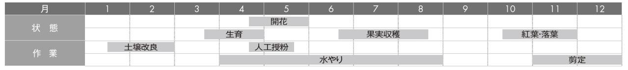 【ガーデニングQ&A】ブルーベリーの花は咲くのに実がつきません。どうしたらいい？（画像4）