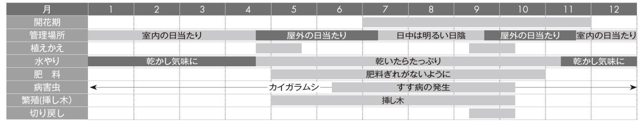 【ガーデニングQ&A】月下美人が枯れました。じょうずに育てる方法を教えて（画像3）