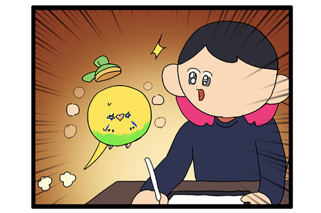 セキセイインコのツンデレ感がたまらない！カチョリエルと飼い主の愛しい駆け引き【鳥マンガ #173】