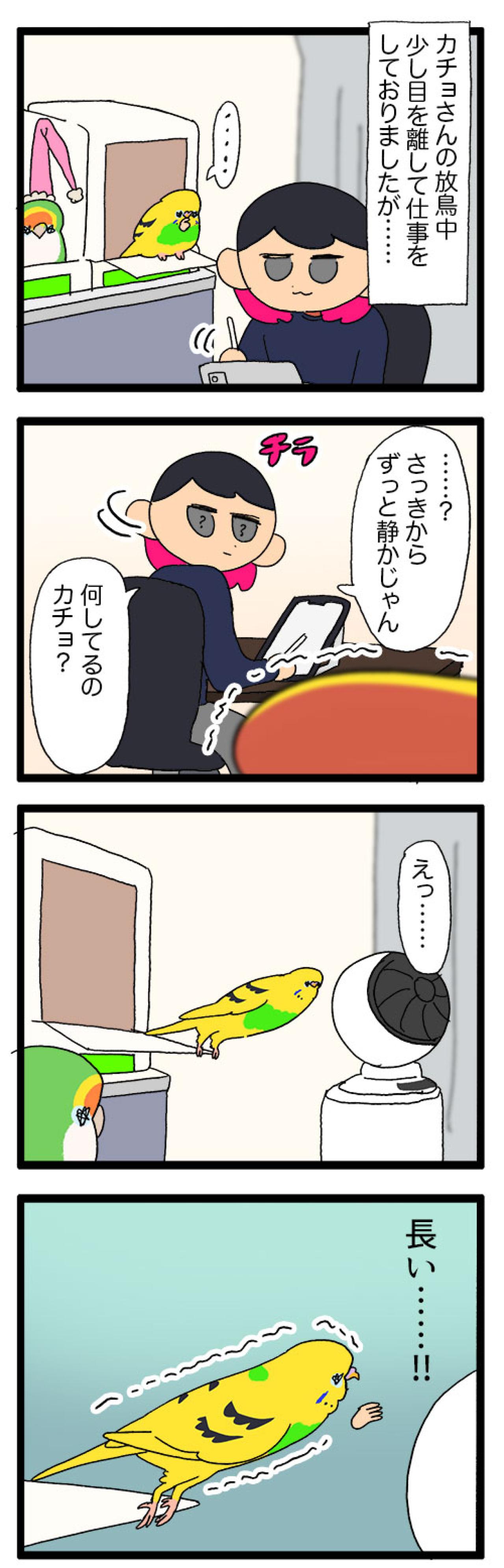 飼い主と先輩インコに律儀に挨拶！面白すぎるインコ・カチョの日常【鳥マンガ #169】（画像6）