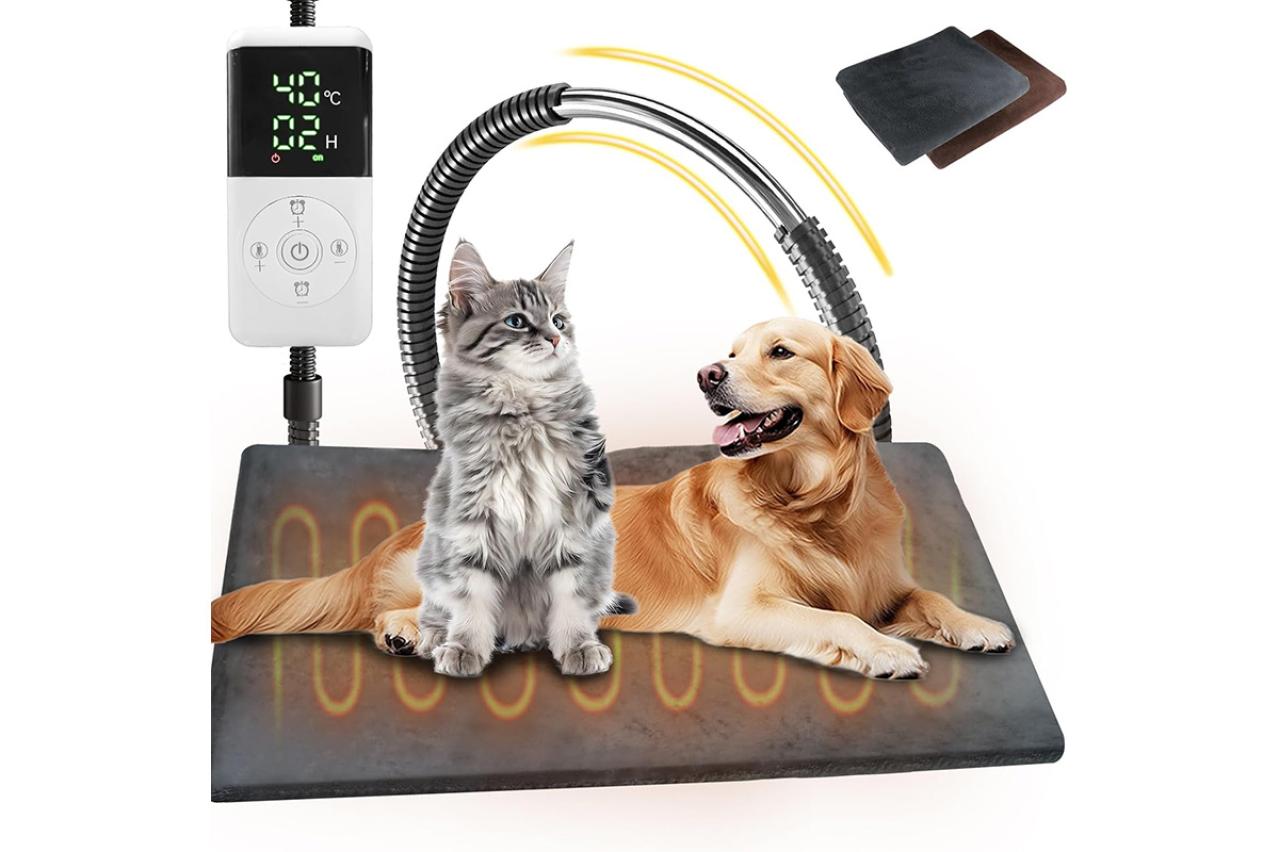 12月12日は保護わん・保護にゃんの日！ゆうゆうtime編集部おすすめの【ペット用品】が最大38％OFF｜Amazonタイムセール