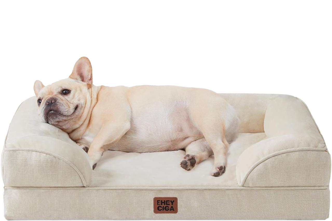 12月12日は保護わん・保護にゃんの日！ゆうゆうtime編集部おすすめの【ペット用品】が最大38％OFF｜Amazonタイムセール（画像2）