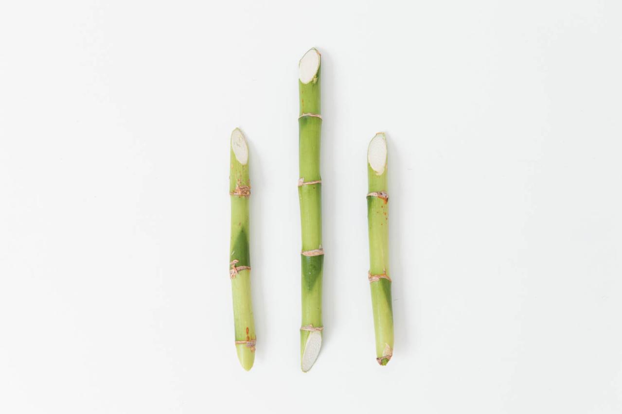 リビングや玄関に飾りたい【ミニ門松】造花の苔玉で簡単おしゃれ！（画像6）