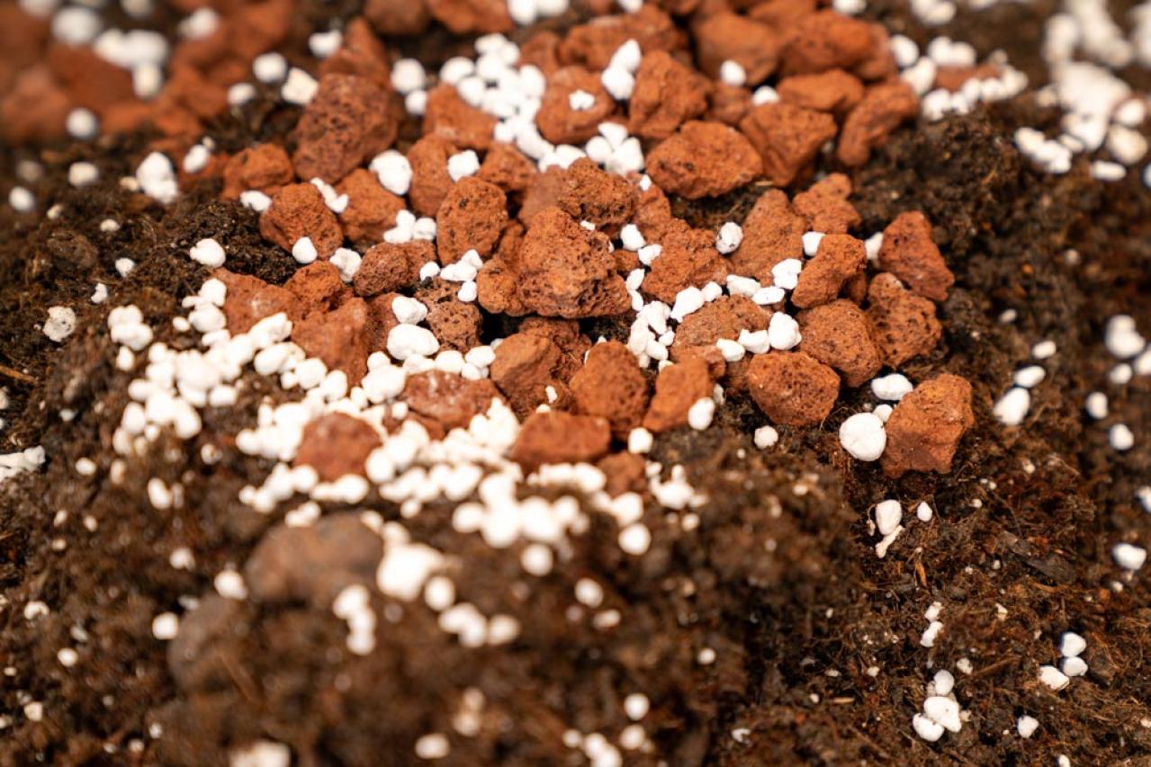 植物がぐんぐん育つ！鉢植えの用土選びのコツ。通気性・排水性を高めた配合土を作るには？（画像6）