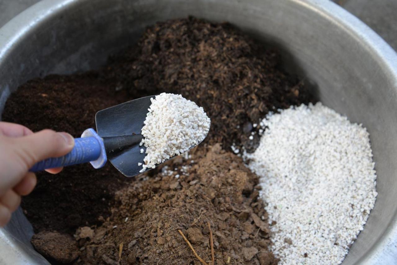 植物がぐんぐん育つ！鉢植えの用土選びのコツ。通気性・排水性を高めた配合土を作るには？（画像3）