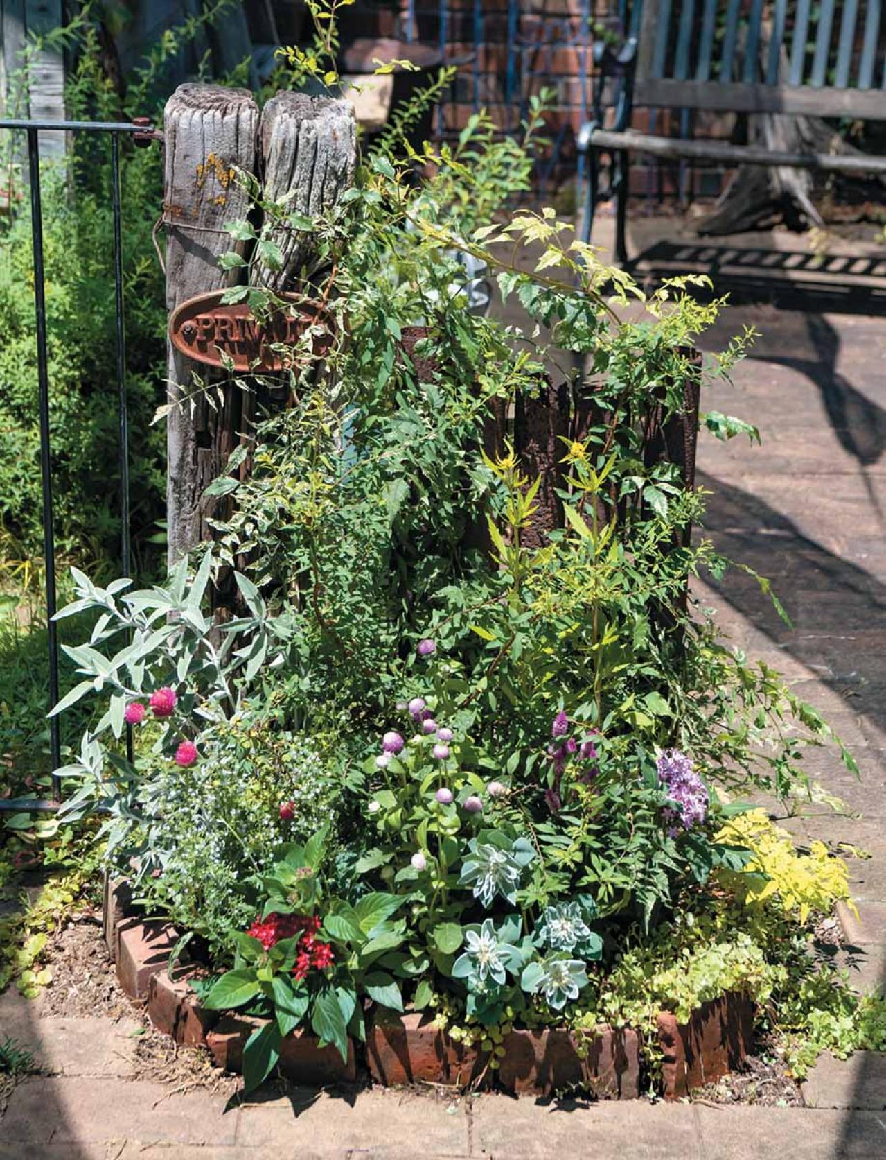 人気園芸店【フローラ黒田園芸】発！ 寒さに強いハボタンで作る冬でも華やかなミニ花壇（画像4）