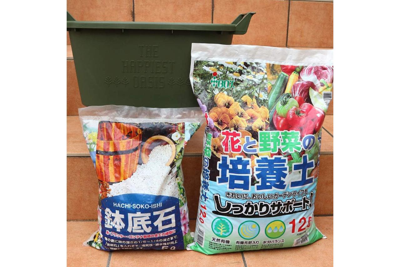 【最大15％OFF】庭やベランダを色鮮やかに♪ゆうゆうtime編集部おすすめ花苗・園芸資材セット・ガーデニングバスケットもAmazonタイムセールで！