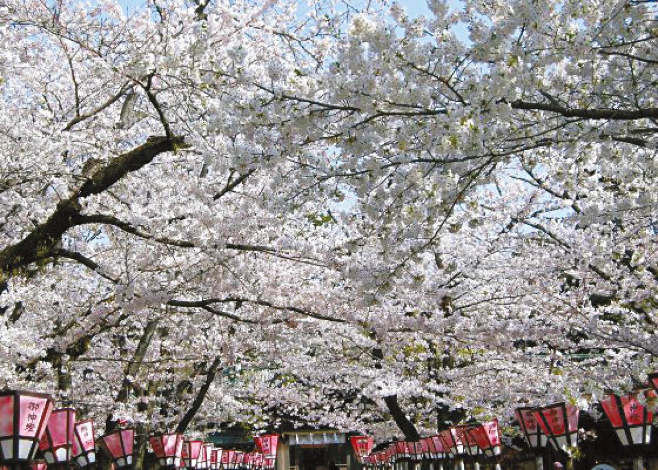 【憧れの鉄道に乗ってひとり旅】「クラブツーリズム×ゆうゆうコラボ企画」女性限定参加者募集！（画像6）