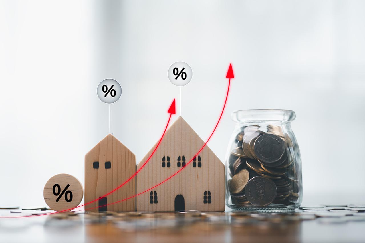 【2026年上半期の運勢｜山羊座】12星座別 山田ありすのHAPPY占い（画像2）