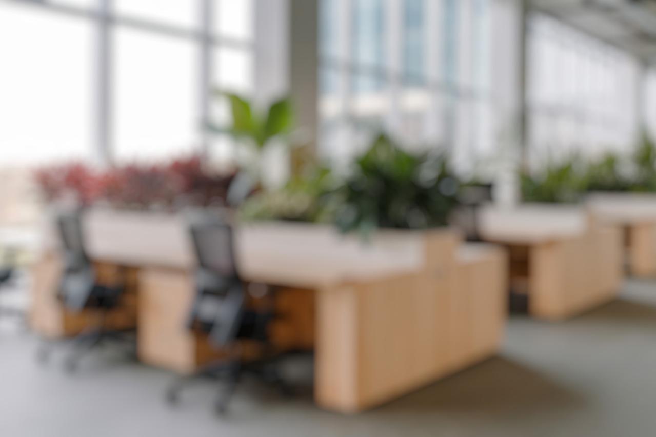 【2026年上半期の運勢｜水瓶座】12星座別 山田ありすのHAPPY占い（画像3）