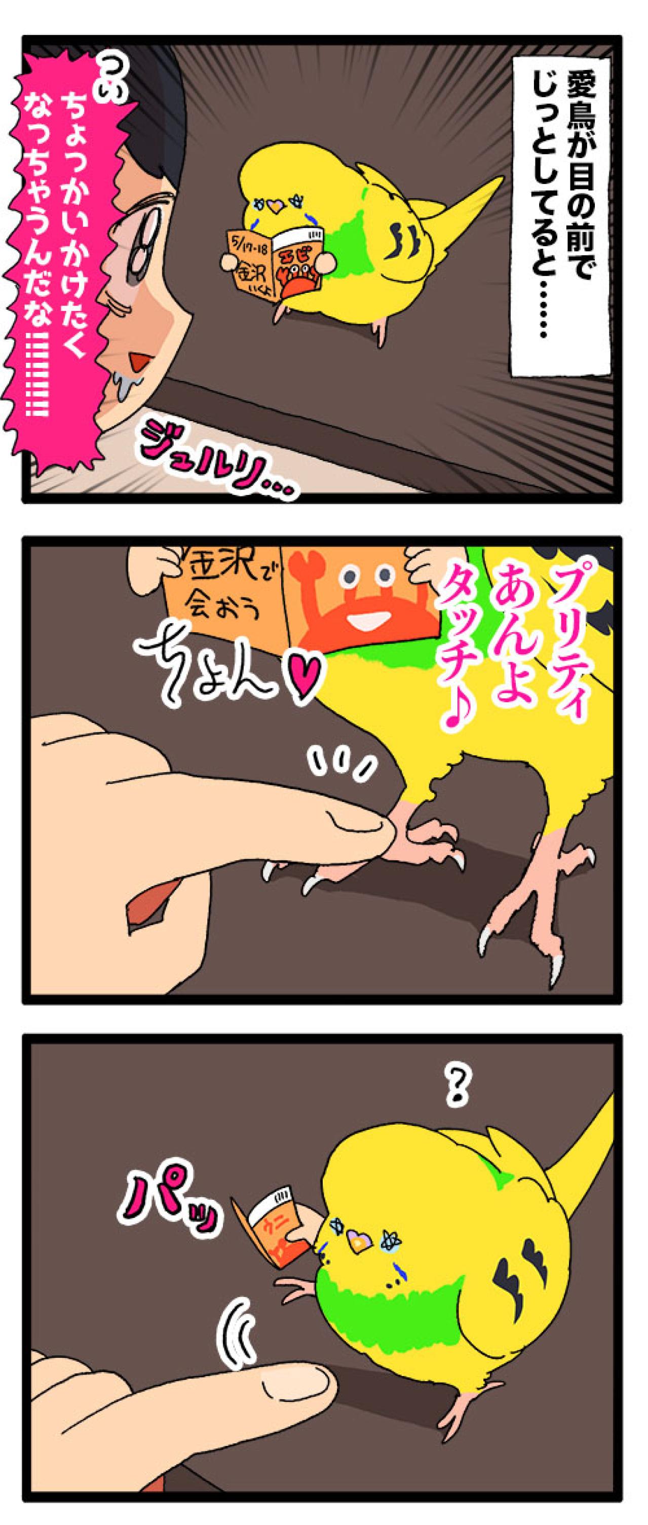 そうくるか！？飲み水交換の隙を狙って脱走を試みたセキセイインコ（と飼い主）の末路【鳥マンガ #179】（画像5）