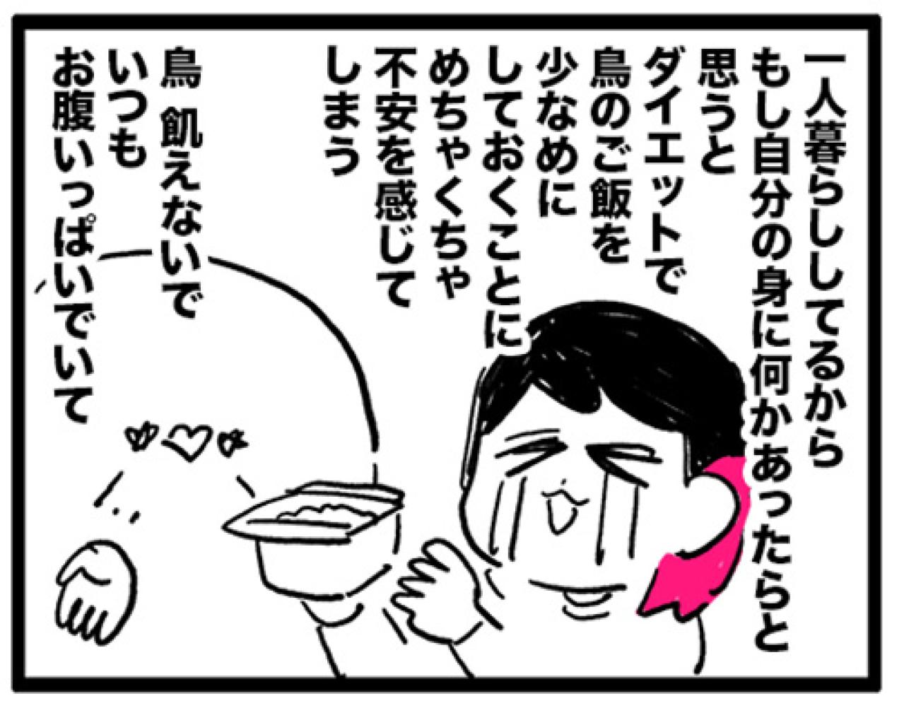 換羽期再び…それでも飼い主がインコに餌をたくさんあげてしまう理由に共感【鳥マンガ #181】（画像4）