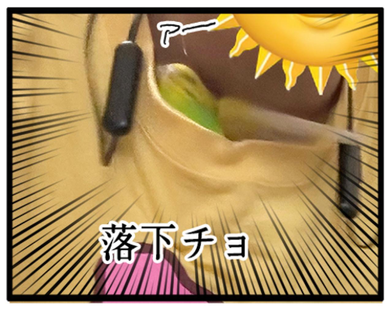 飼い主がセキセイインコの放鳥中にコーヒーを飲めない理由は？曲芸レベルのカチョに注目！【鳥マンガ #180】（画像5）