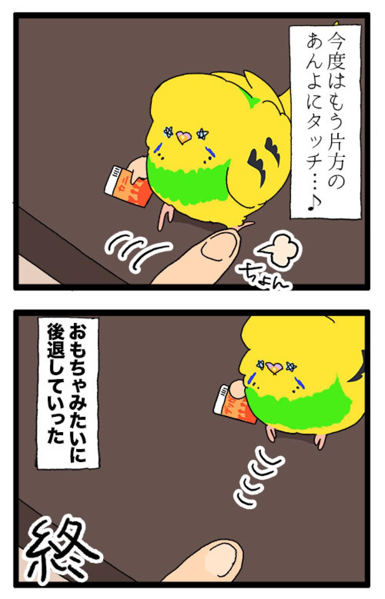 そうくるか！？飲み水交換の隙を狙って脱走を試みたセキセイインコ（と飼い主）の末路【鳥マンガ #179】（画像6）