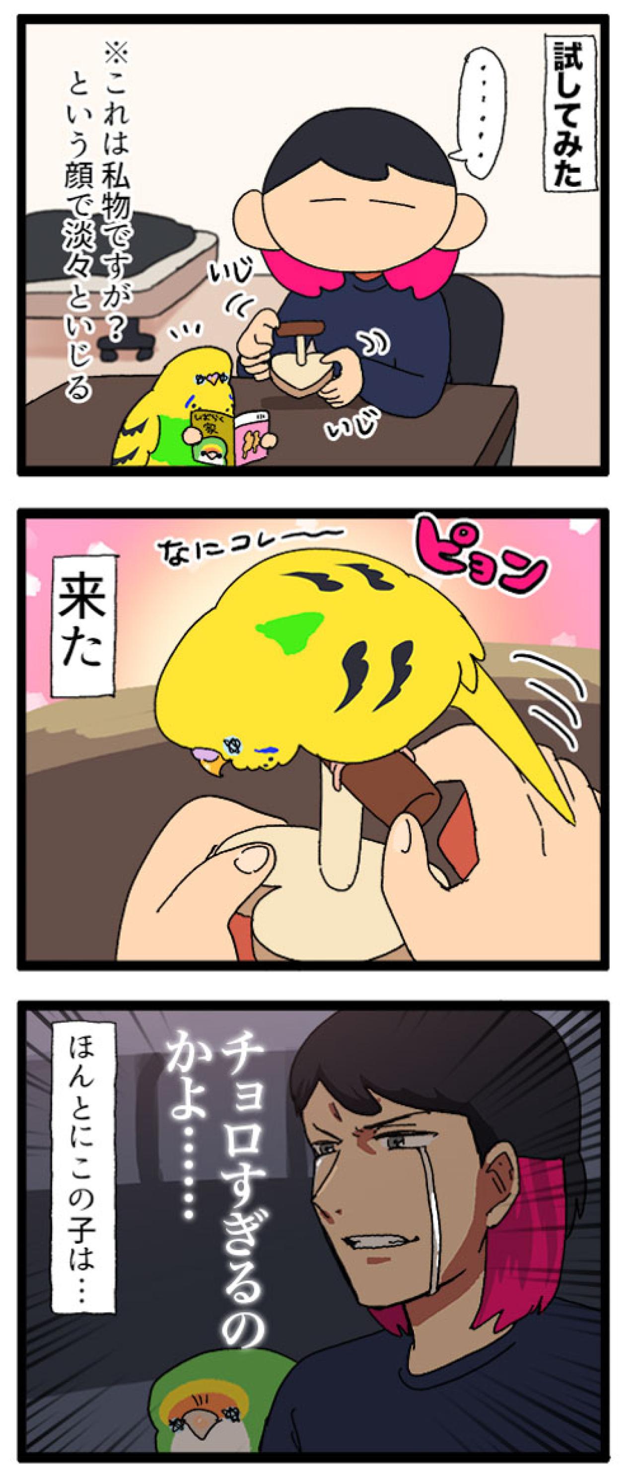 あやうく大惨事！飼い主がマンガを描いていたiPadの上を、セキセイインコが歩いたら？【鳥マンガ #183】（画像5）