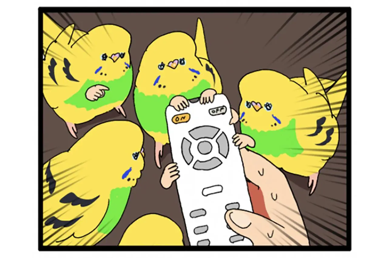 あやうく大惨事！飼い主がマンガを描いていたiPadの上を、セキセイ