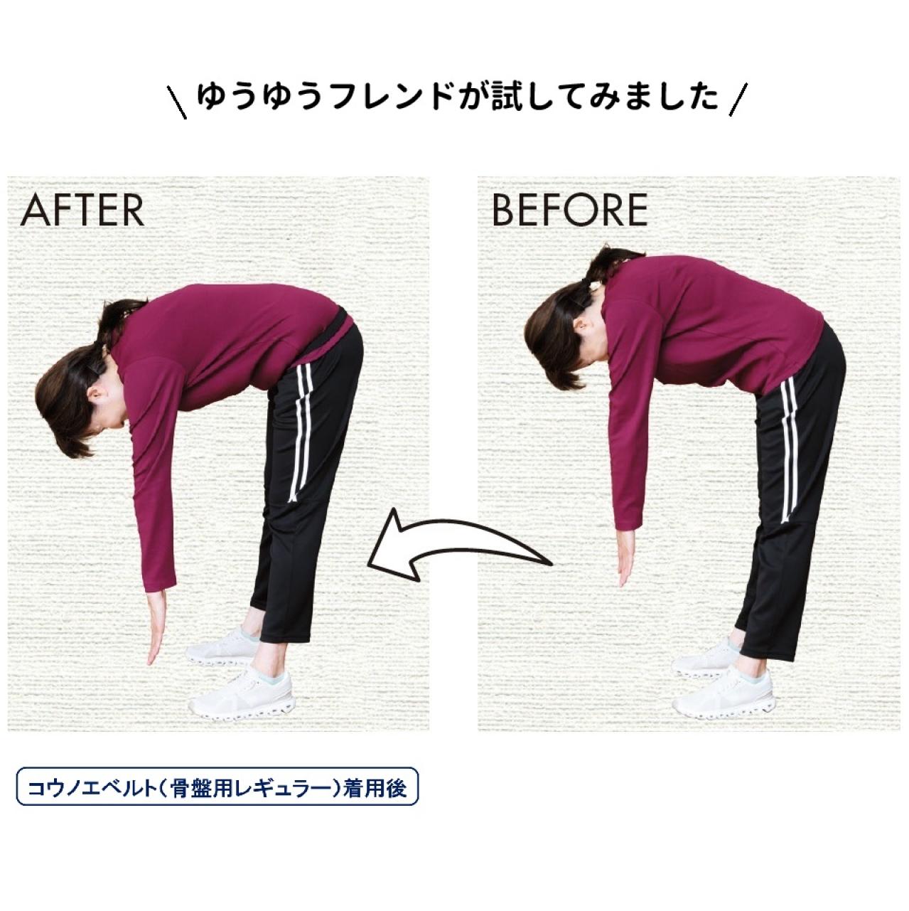 コウノエベルト　骨盤用レギュラー（画像3）