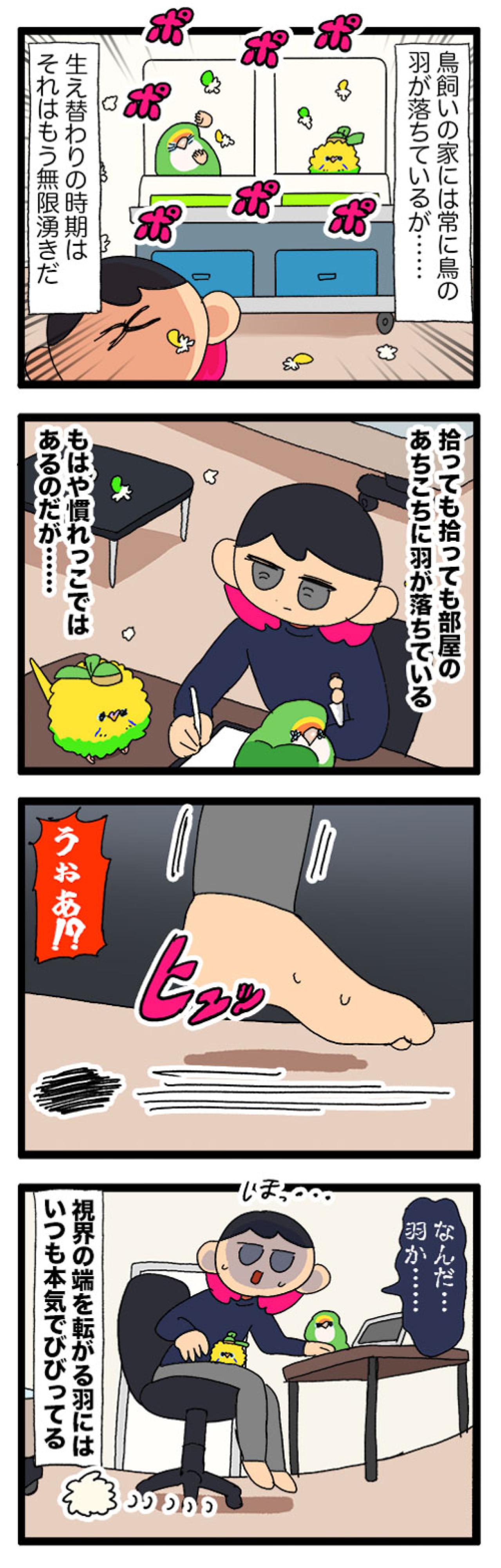 ホラー！？換羽期の鳥飼いさんの家を高速で横切る黒いものの正体は？【鳥マンガ #189】（画像5）