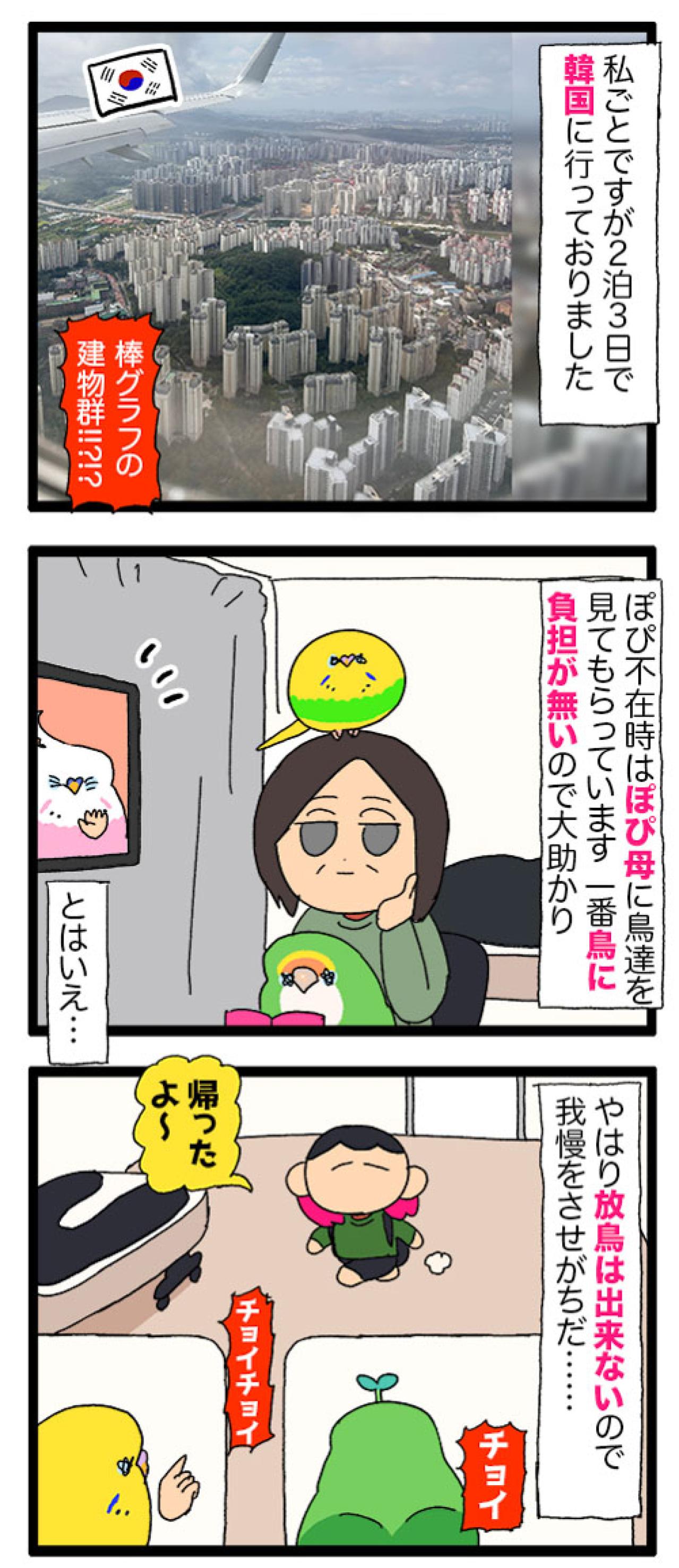 かまってちゃんなセキセイインコ。愛が重めのアピールとは？【鳥マンガ #188】（画像5）