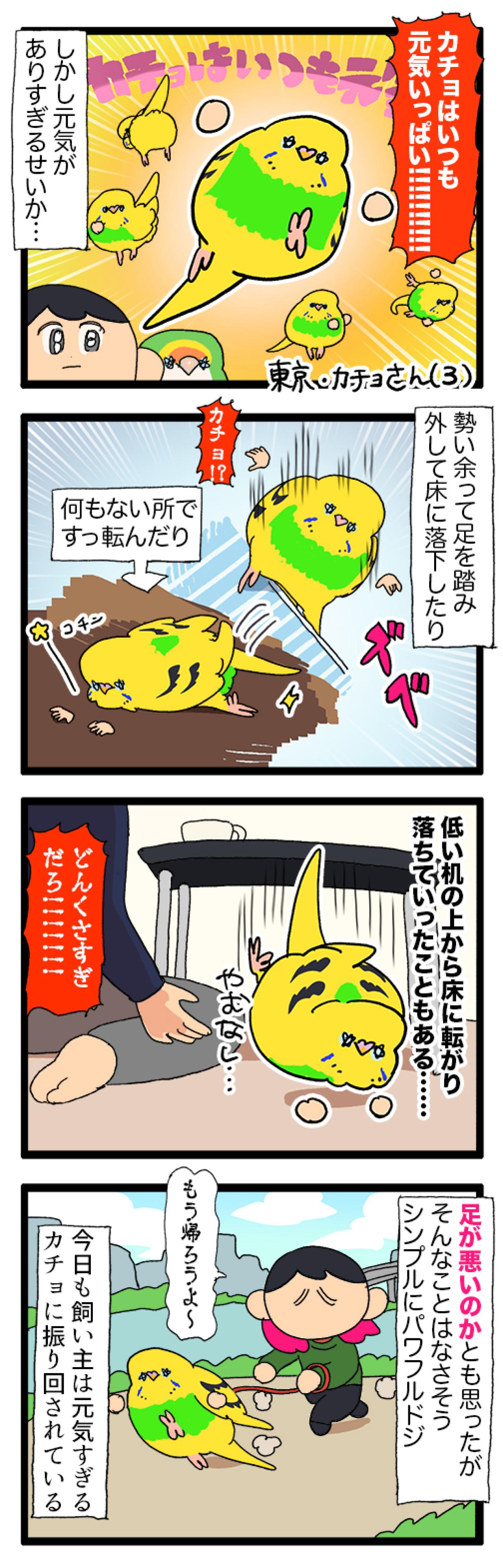 パワフルなカチョリエルが降り立った未踏の地は、幸せいっぱいの…【鳥マンガ #187】（画像4）
