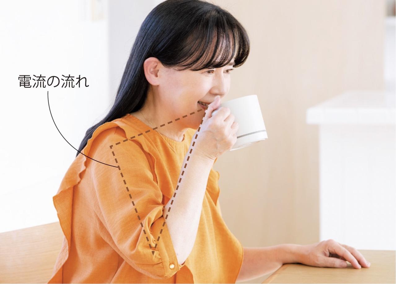 減塩ライフを楽しくする強い味方【エレキソルト】って？ 60代読者モデルが実際に試した感想は？（画像6）