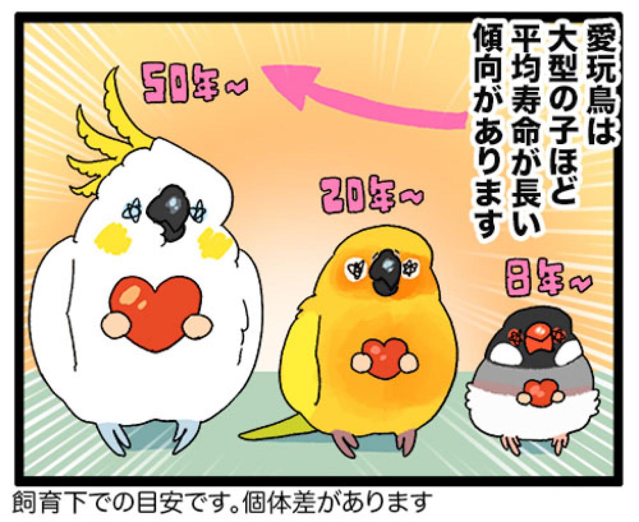 人間のおやつに敏感すぎるセキセイインコにまさかの情報共有疑惑！？【鳥マンガ #190】（画像6）