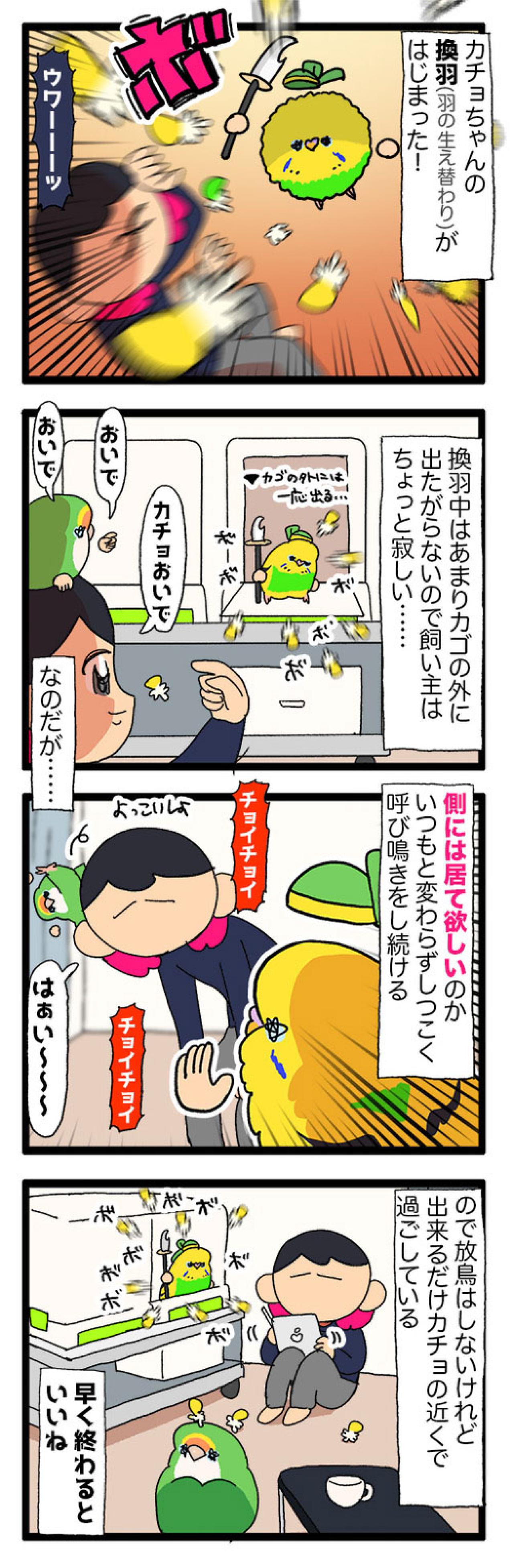 絶賛換羽中のセキセイインコ。カゴの外に出たがらないので飼い主は寂しい…【鳥マンガ #191】（画像4）