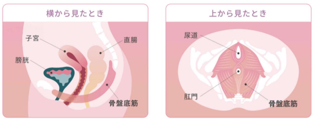 尿漏れ　SIXPAD　骨盤底筋