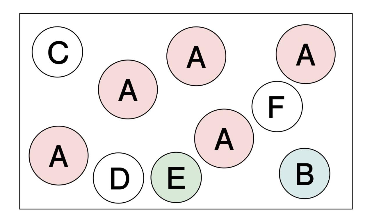 フローラ黒田園芸【黒田健太郎さん】の冬の寄せ植えアイディア。バスケット、ジョウロを使って遊び心をプラス！（画像3）