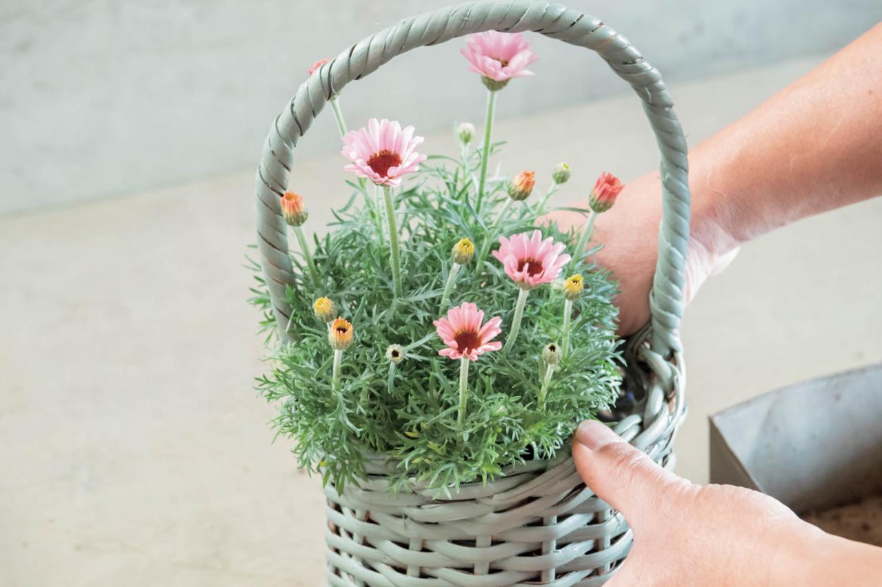 フローラ黒田園芸【黒田健太郎さん流】オーバル＆ラウンド形バスケットの寄せ植え。2つセットで飾るのがポイント！（画像29）