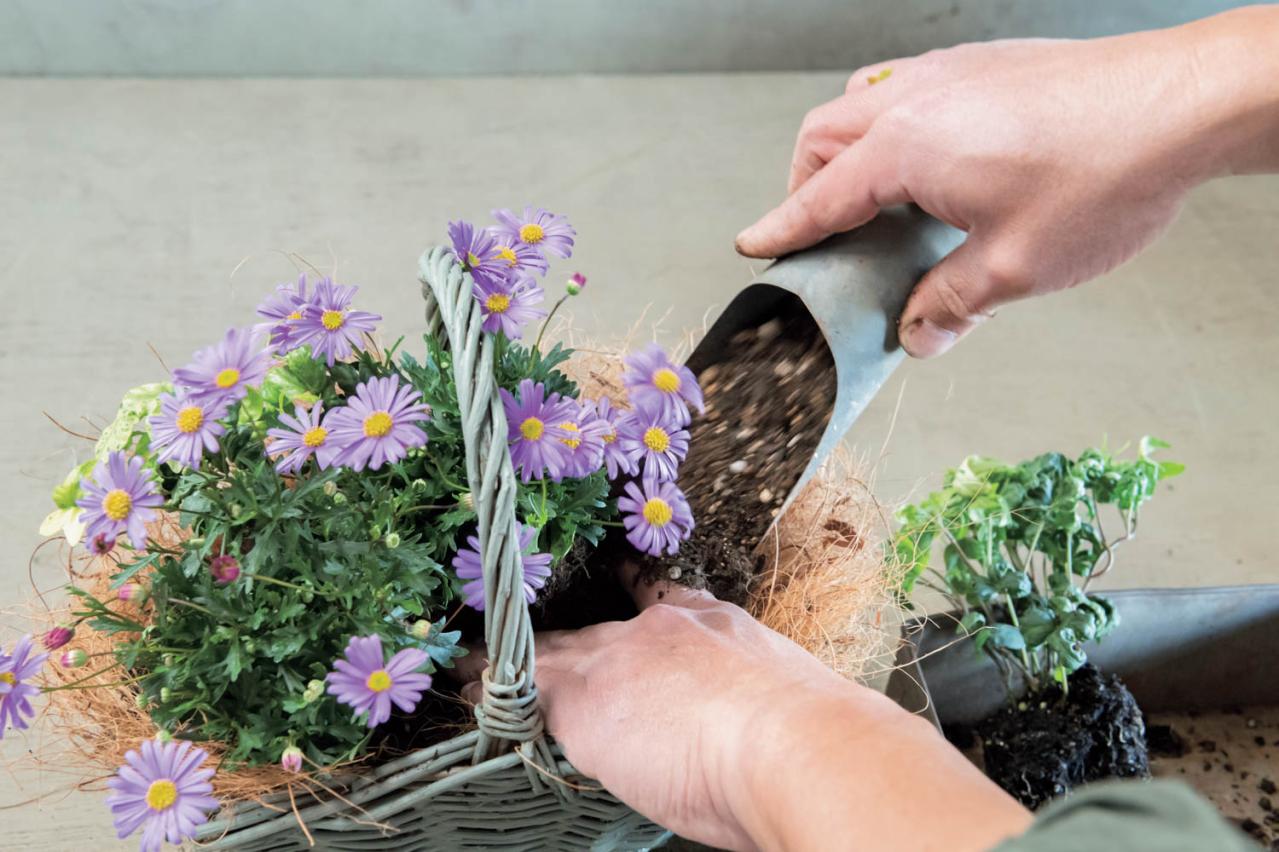 フローラ黒田園芸【黒田健太郎さん流】オーバル＆ラウンド形バスケットの寄せ植え。2つセットで飾るのがポイント！（画像16）