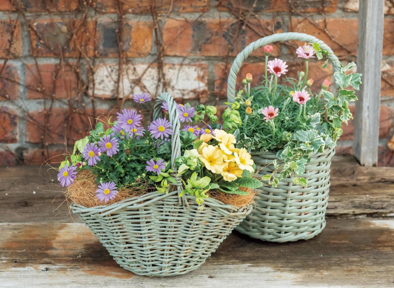 フローラ黒田園芸【黒田健太郎さん流】オーバル＆ラウンド形バスケットの寄せ植え。2つセットで飾るのがポイント！（画像2）