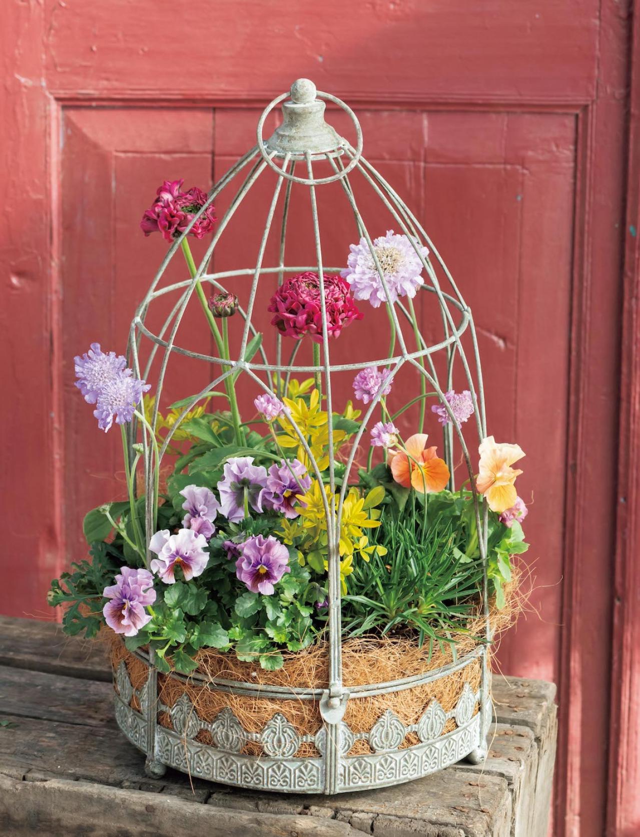 アイアン製の雑貨に花を植えたらこんなに素敵！ フローラ黒田園芸【黒田健太郎さん】の冬の華やぎ寄せ植え（画像6）