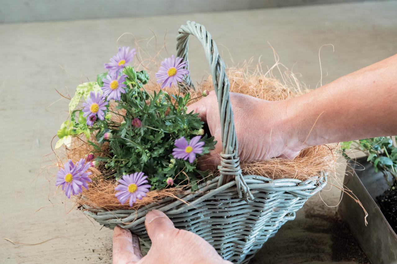 フローラ黒田園芸【黒田健太郎さん流】オーバル＆ラウンド形バスケットの寄せ植え。2つセットで飾るのがポイント！（画像15）