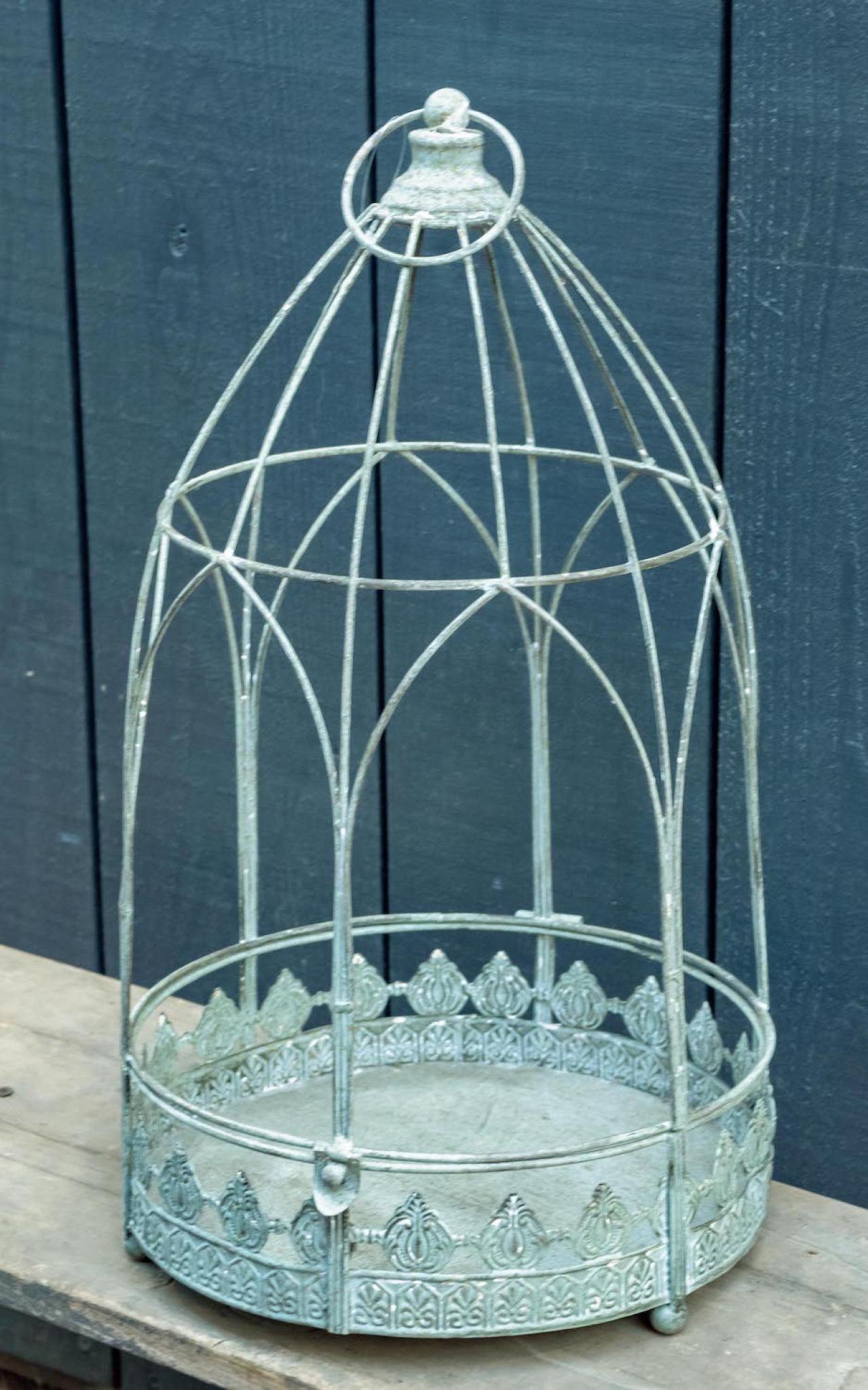 アイアン製の雑貨に花を植えたらこんなに素敵！ フローラ黒田園芸【黒田健太郎さん】の冬の華やぎ寄せ植え（画像8）