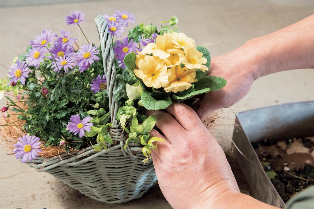 フローラ黒田園芸【黒田健太郎さん流】オーバル＆ラウンド形バスケットの寄せ植え。2つセットで飾るのがポイント！（画像18）