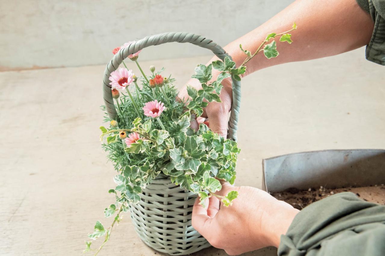 フローラ黒田園芸【黒田健太郎さん流】オーバル＆ラウンド形バスケットの寄せ植え。2つセットで飾るのがポイント！（画像31）
