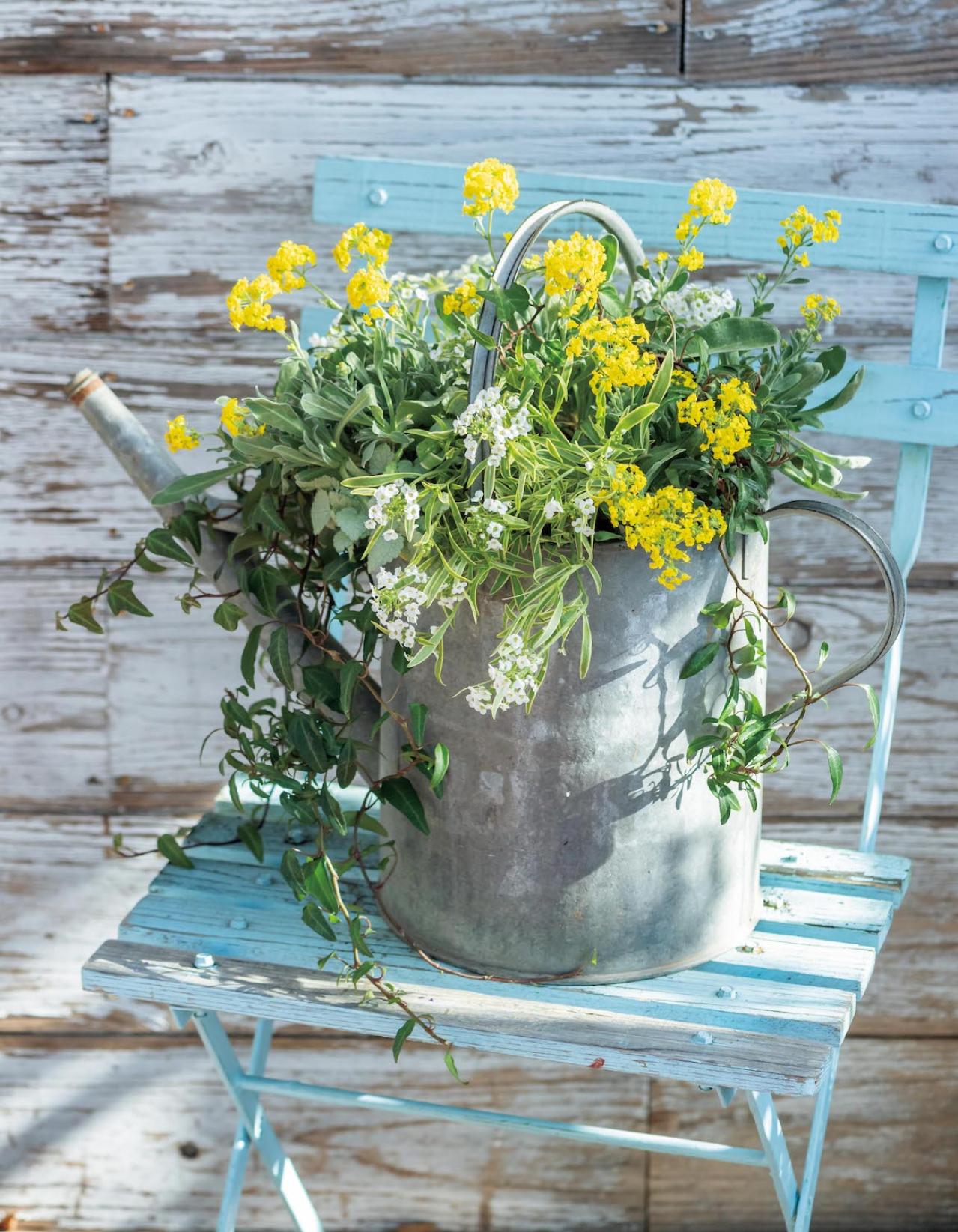 フローラ黒田園芸【黒田健太郎さん】の冬の寄せ植えアイディア。バスケット、ジョウロを使って遊び心をプラス！（画像5）