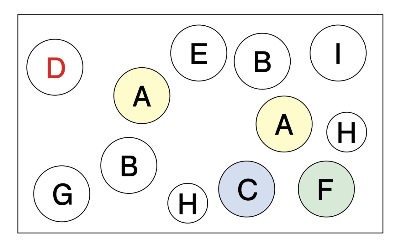 アイアン製の雑貨に花を植えたらこんなに素敵！ フローラ黒田園芸【黒田健太郎さん】の冬の華やぎ寄せ植え（画像11）
