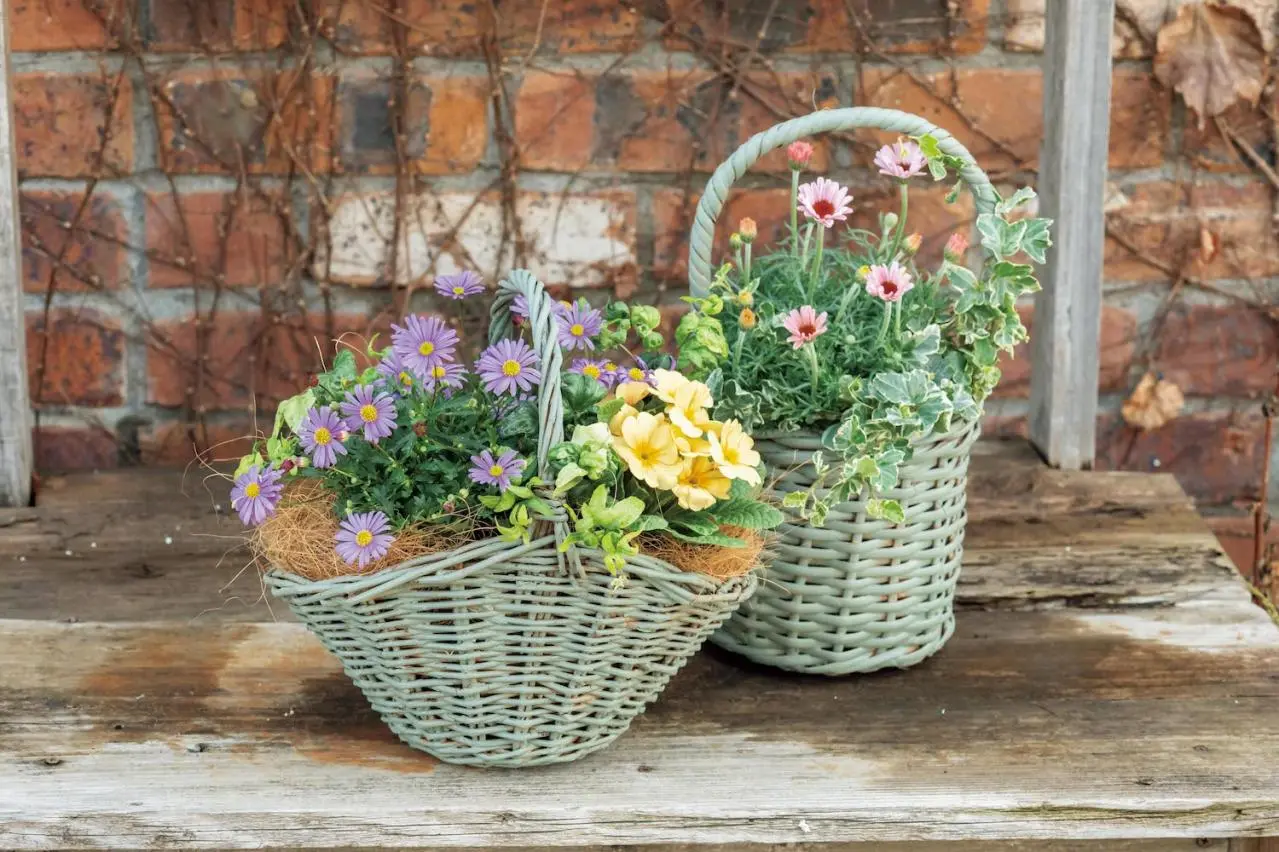 フローラ黒田園芸【黒田健太郎さん流】オーバル＆ラウンド形バスケット